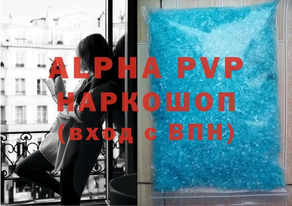 спиды Ростов