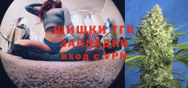 PSILOCYBIN Рославль