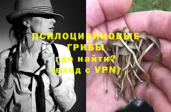бошки Пролетарск